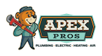 apex-pros-web-transparent_logo-color